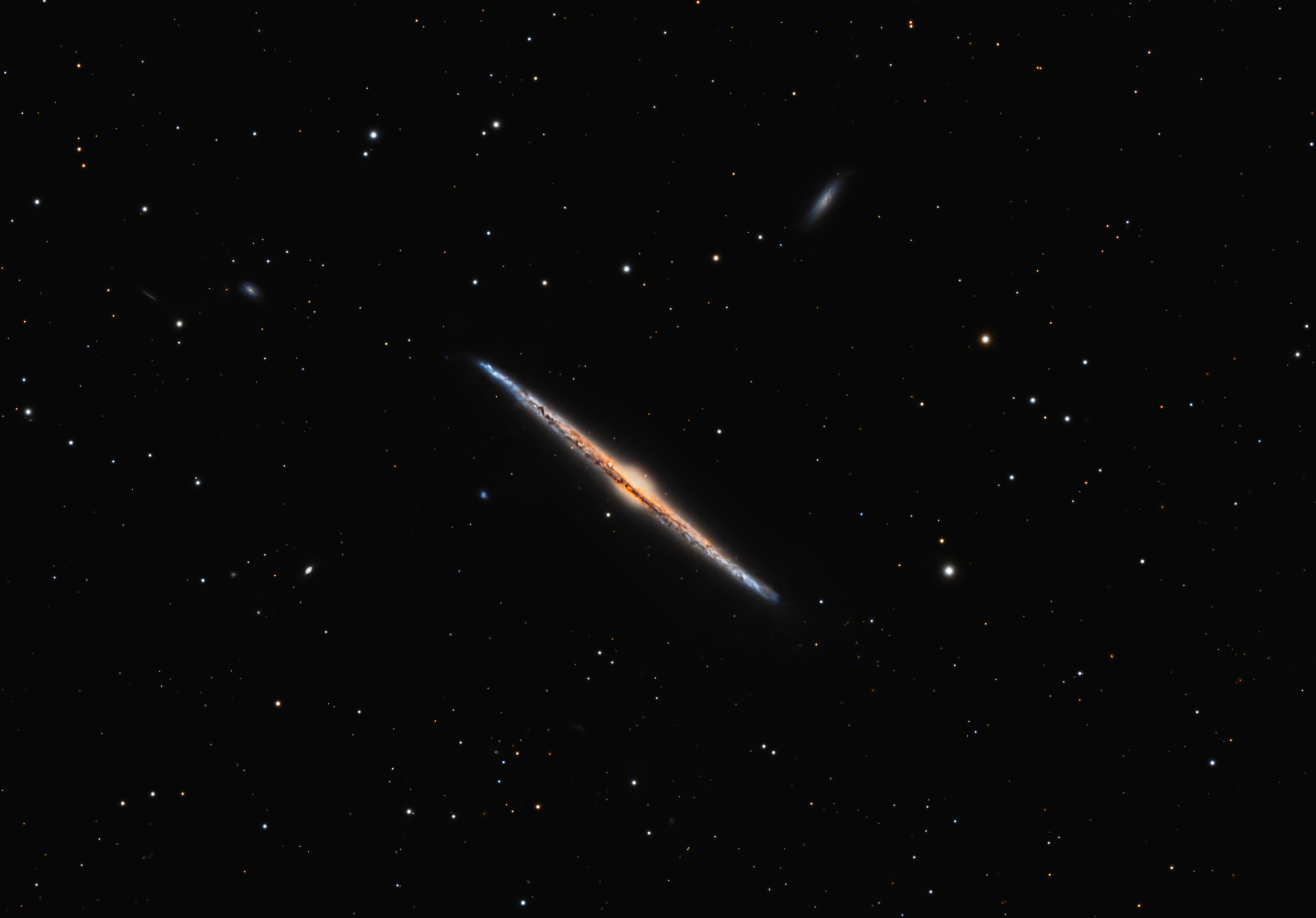 NGC 4565