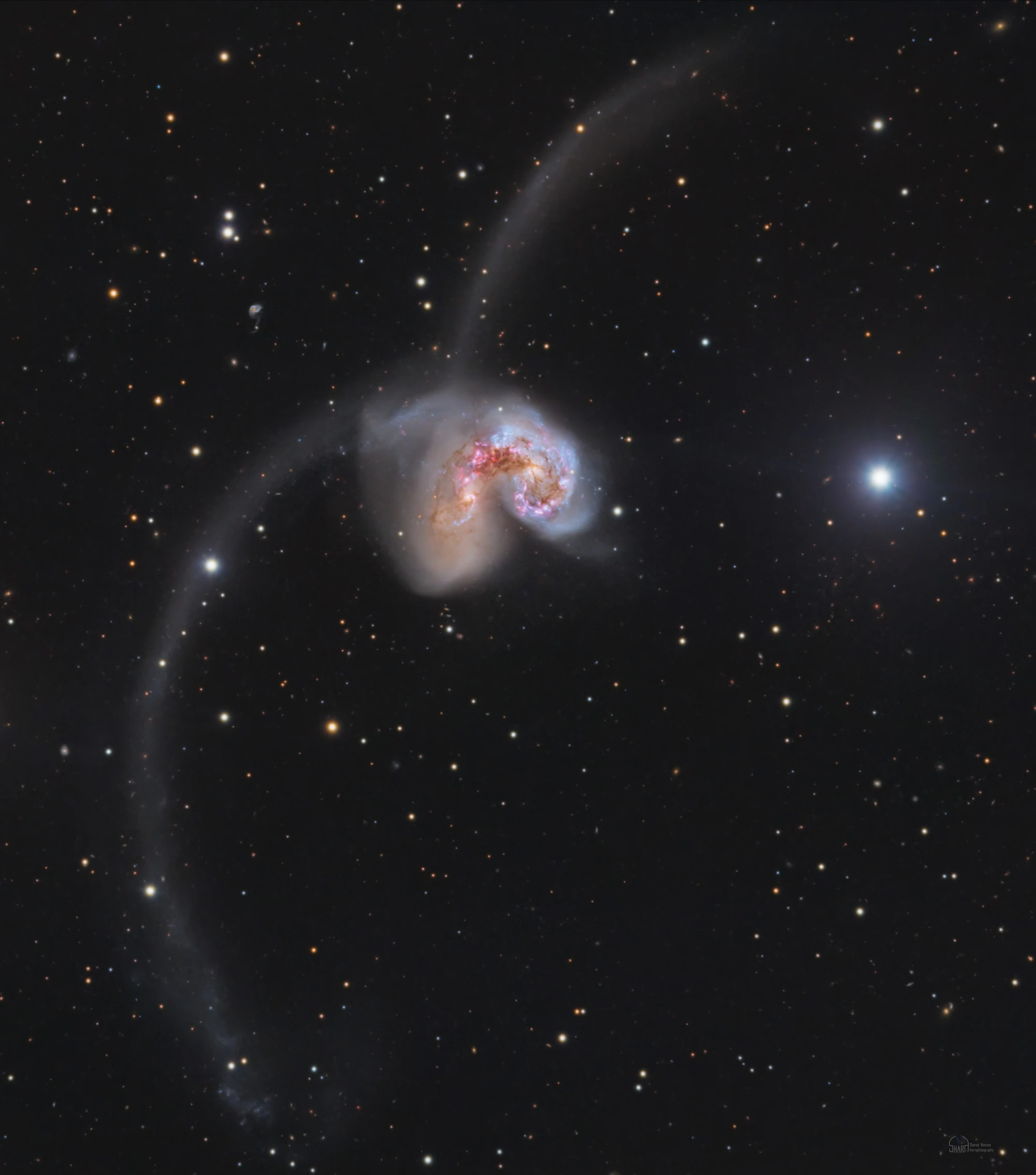 NGC-4038/39