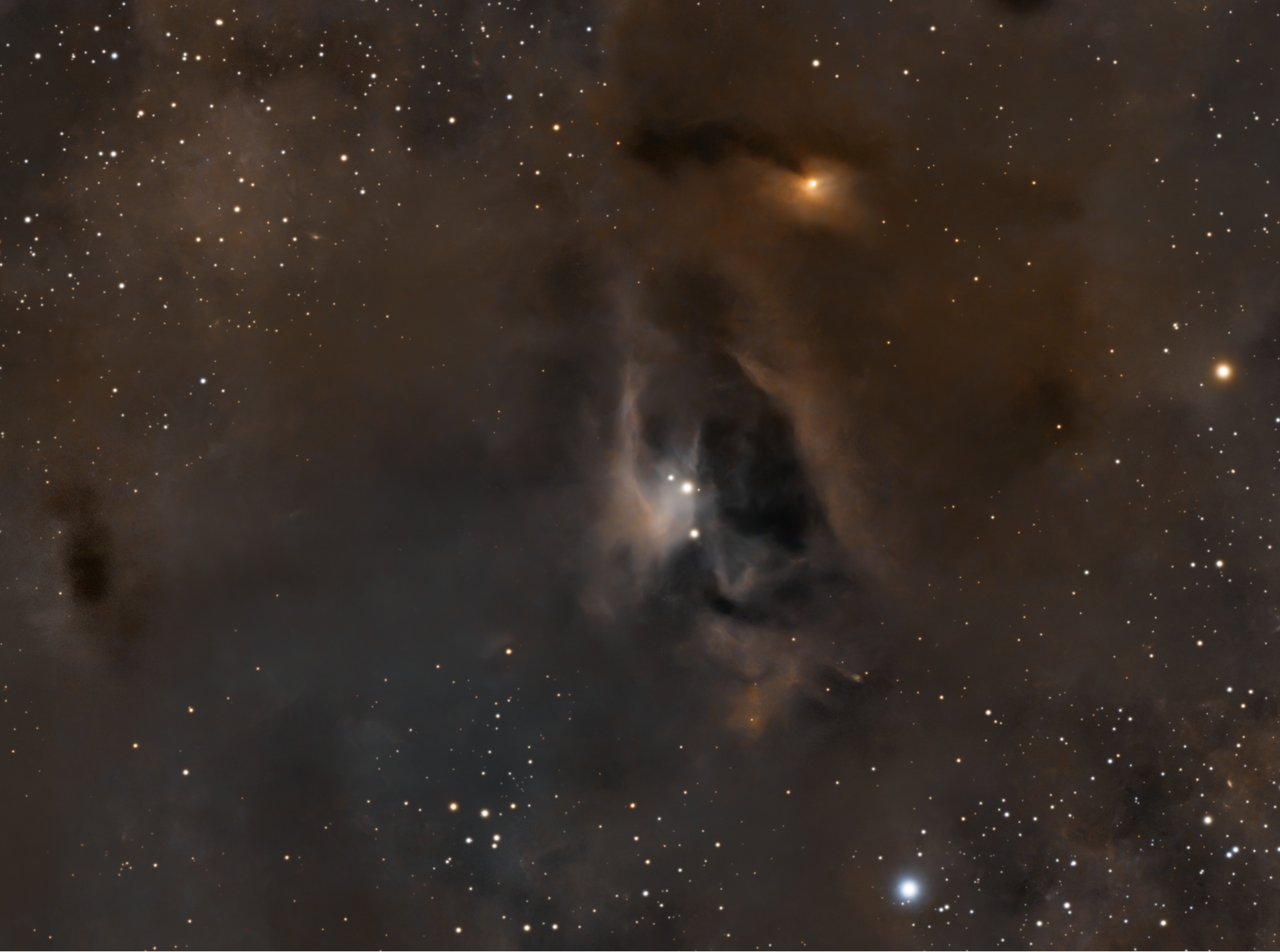 dark nebula