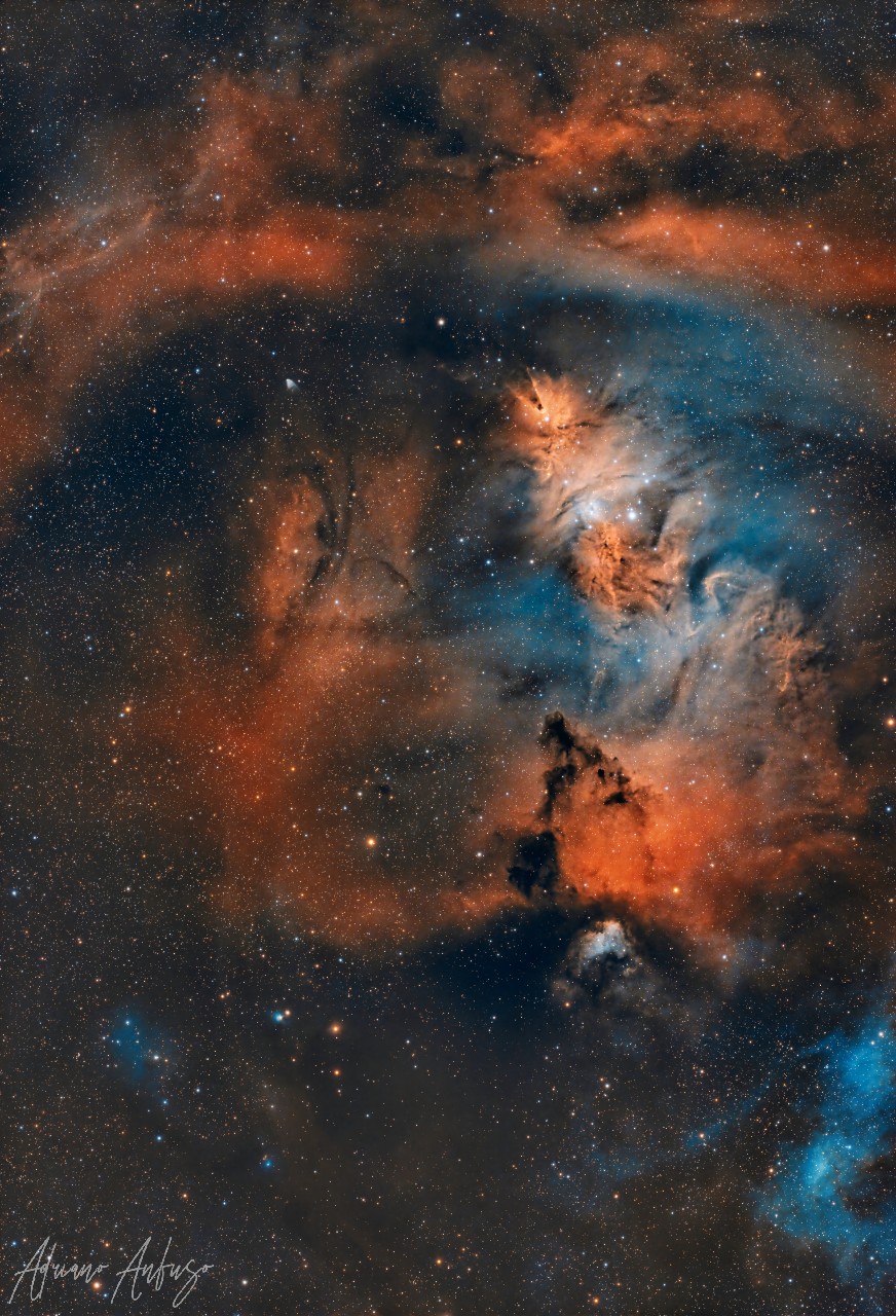 Christmas Tree Complex | © Adriano Anfuso