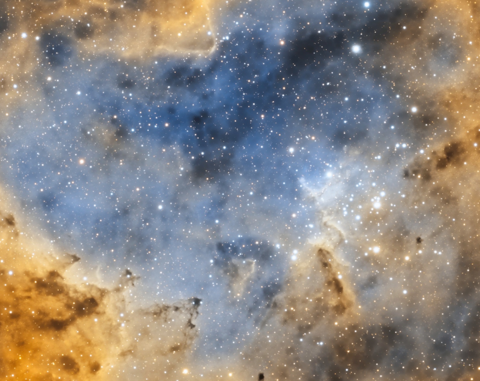 Melotte 15