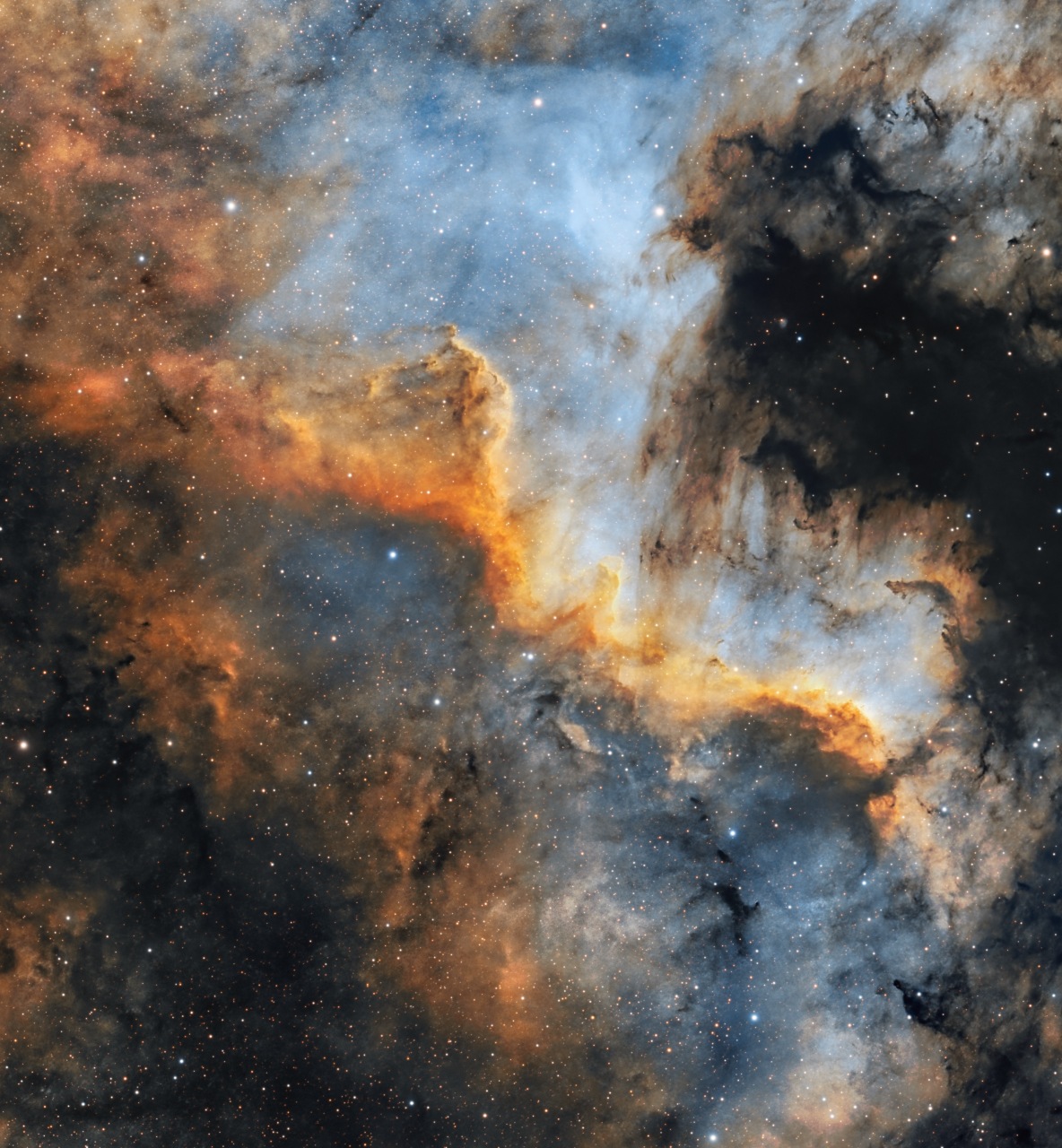 Cygnus Wall