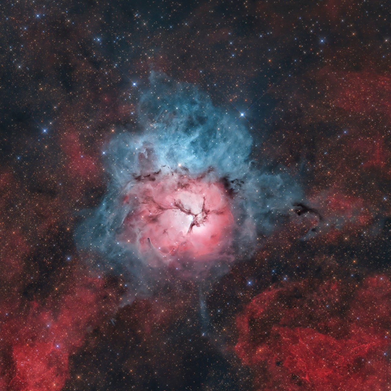 trifid