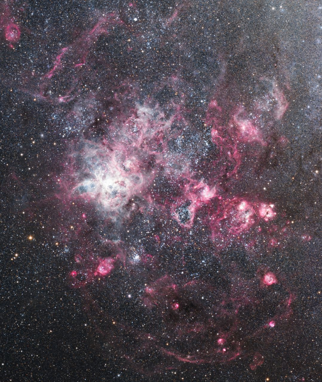 Tarantula Nebula