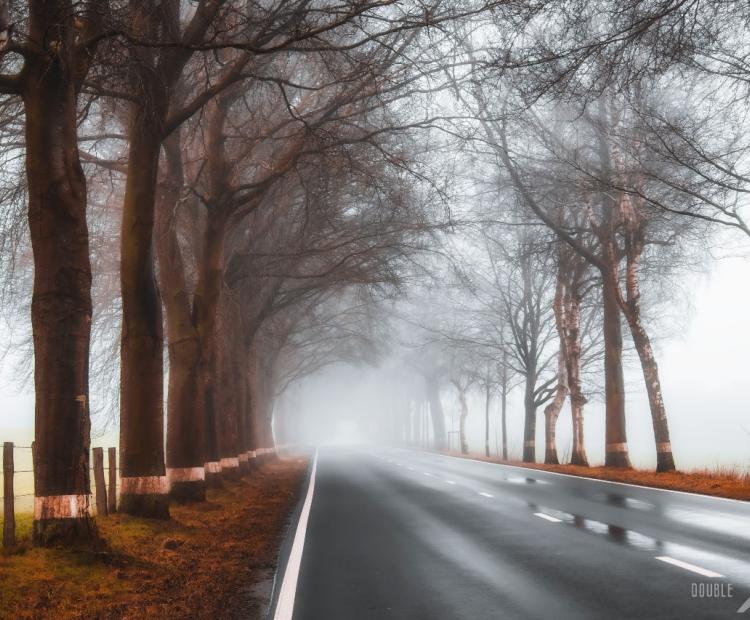 Mystery Road | © Adriano Anfuso