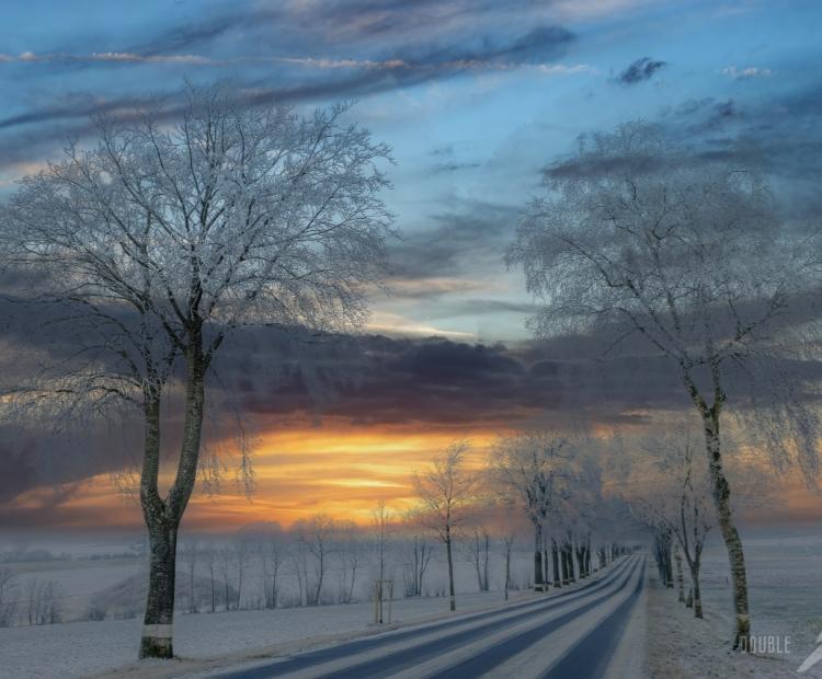 Frozen Solitude | © Adriano Anfuso