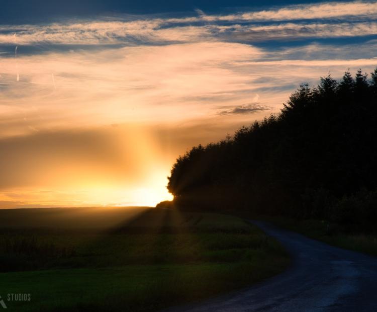 Golden Road | © Adriano Anfuso