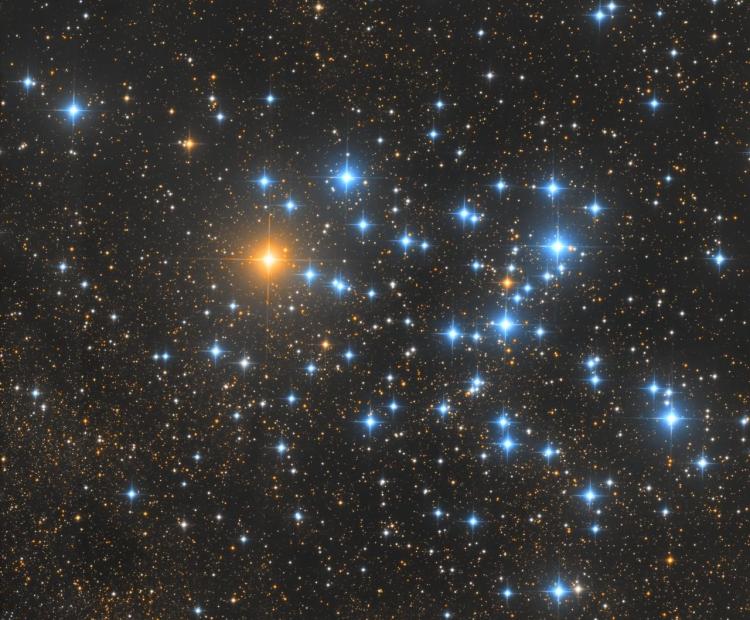 Butterfly Cluster | © Adriano Anfuso