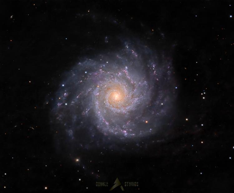 Phantom Galaxy (M74) | © Adriano Anfuso