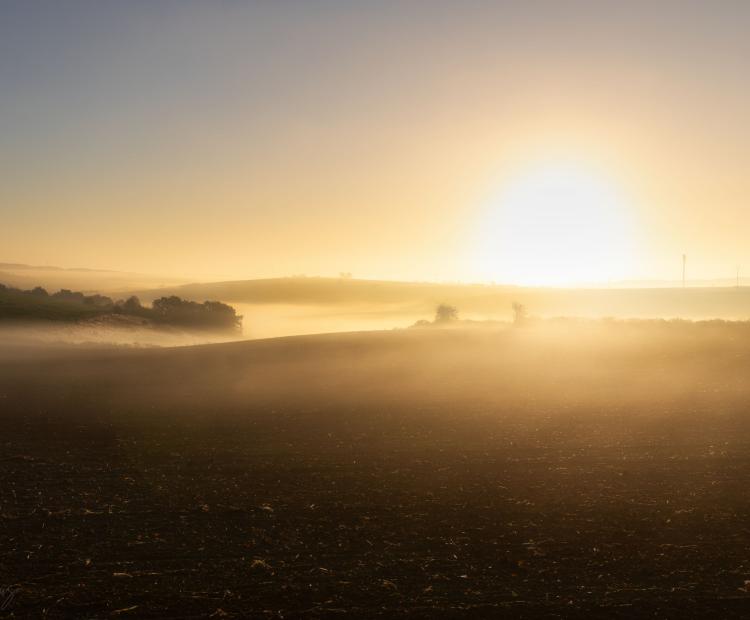 Curtains of Dawn | © Adriano Anfuso