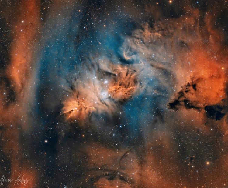 Christmas Tree Complex | © Adriano Anfuso