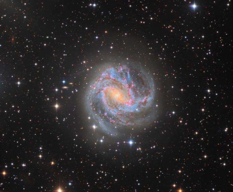 Southern Pinwheel Galaxy | © Adriano Anfuso