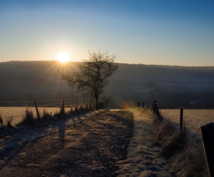 Winter Dawn | © Adriano Anfuso