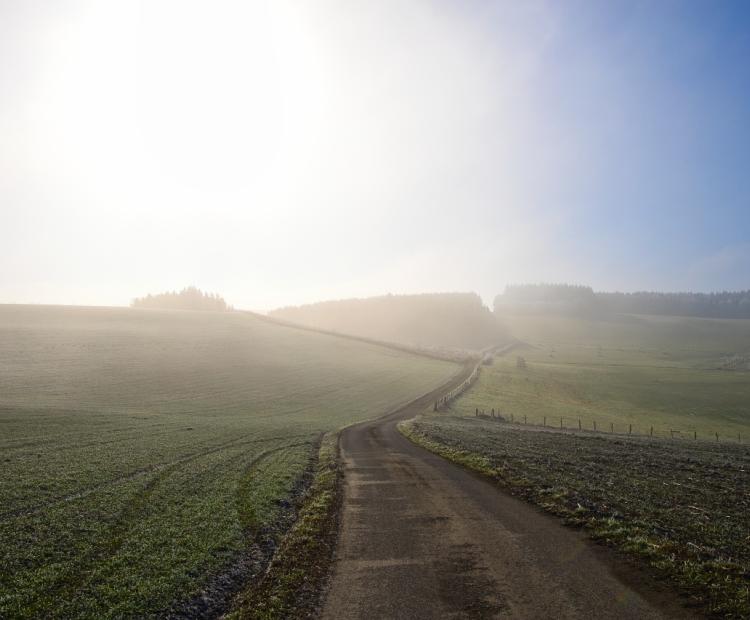 Awakening | © Adriano Anfuso