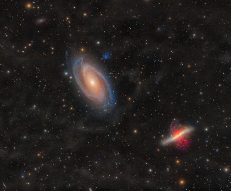 Bode's & Cigar | © Adriano Anfuso