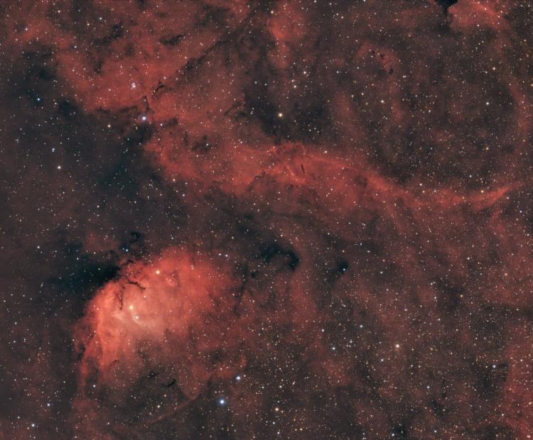 Tulip Nebula | © Adriano Anfuso