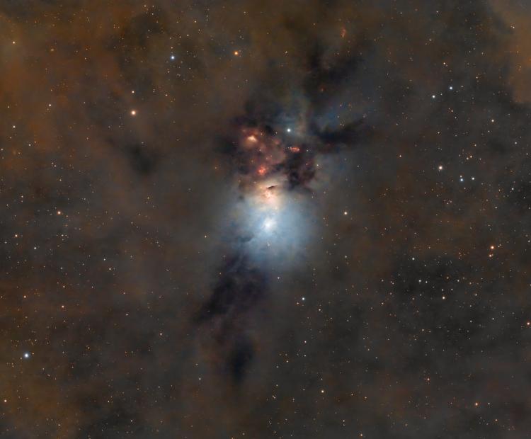 Embryo Nebula | © Adriano Anfuso