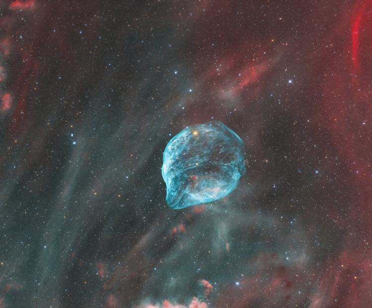 Dolphin Head Nebula | © Adriano Anfuso