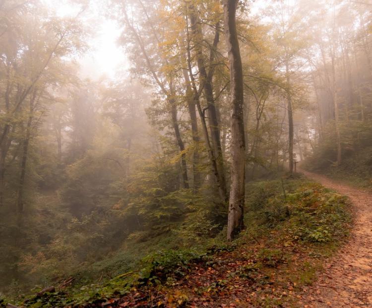 Berdorf Trail | © Adriano Anfuso