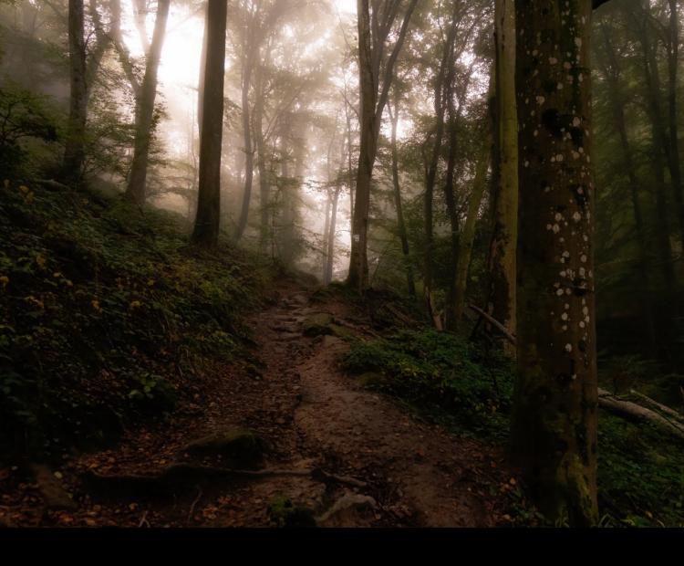 Berdorf Trail | © Adriano Anfuso