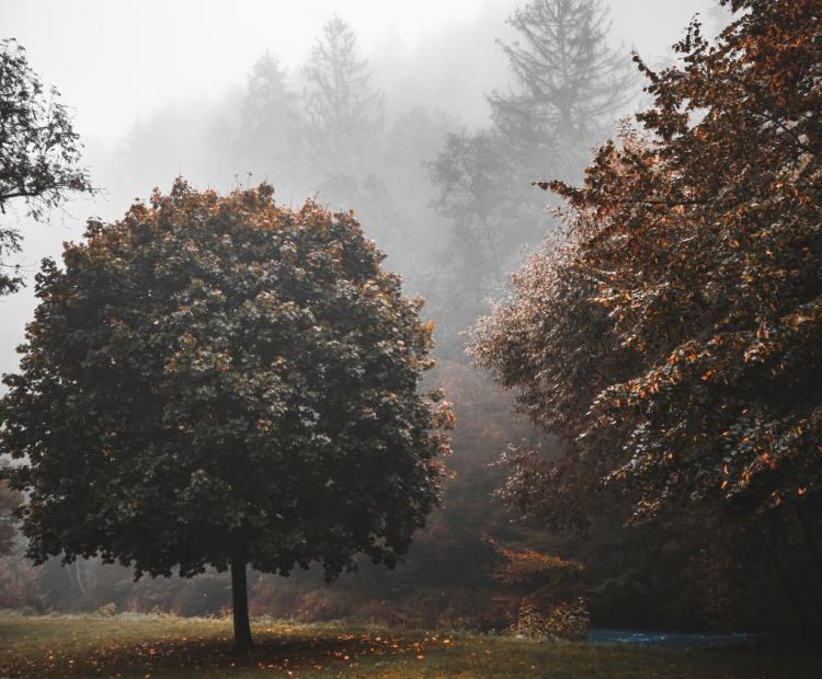 Misty Eislek | © Adriano Anfuso