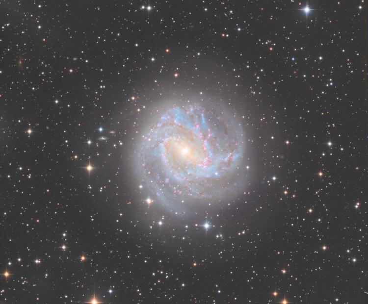 Southern Pinwheel Galaxy | © Adriano Anfuso