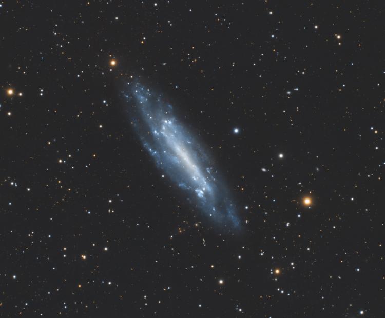 NGC 4236 | © Adriano Anfuso