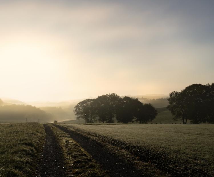 Early Light | © Adriano Anfuso