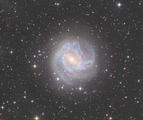 Southern Pinwheel Galaxy | © Adriano Anfuso