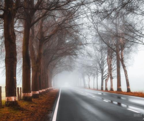 Mystery Road | © Adriano Anfuso