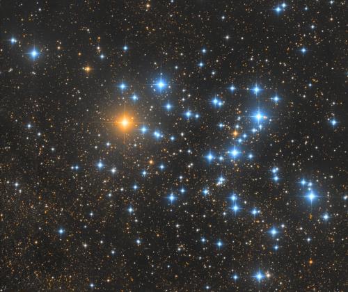 Butterfly Cluster | © Adriano Anfuso