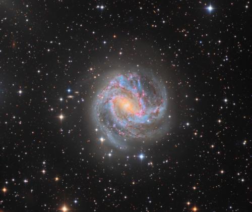 Southern Pinwheel Galaxy | © Adriano Anfuso