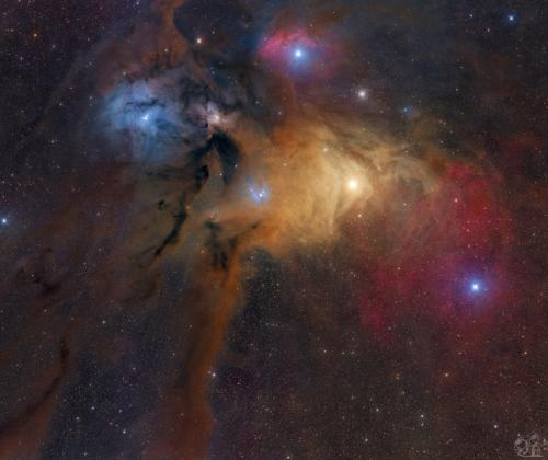Rho Ophiuchi | © Remote AstroPals