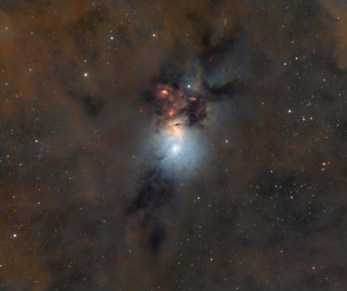 Embryo Nebula | © Adriano Anfuso