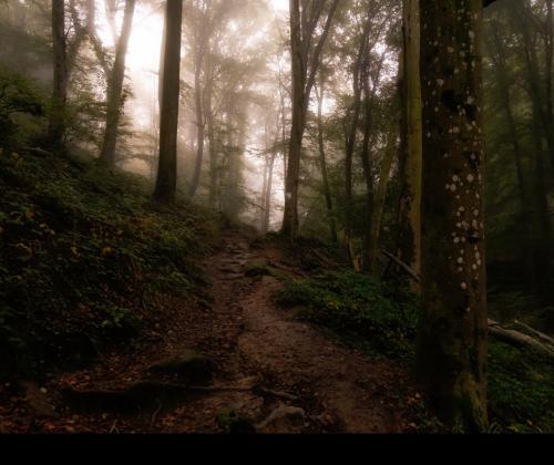 Berdorf Trail | © Adriano Anfuso